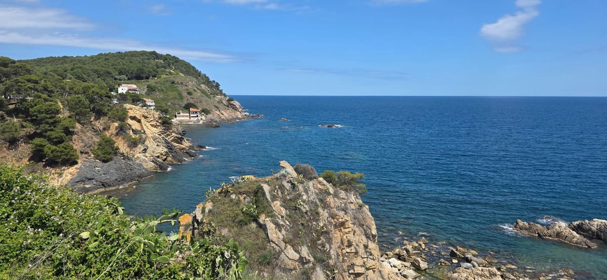 The rocky Costa Brava coastline near Palamós, pine-topped cliffs above a clear blue sea